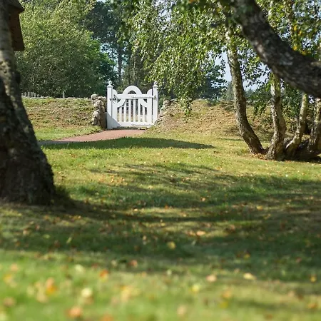 Reetdachhaus Polarfischer Dom wakacyjny *